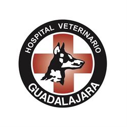 Horario de apertura Hospital Y Clínica Veterinaria Guadalajara, 