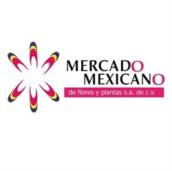 Horario de apertura Mercado Mexicano de Flores y Plantas, San Antonio La Isla