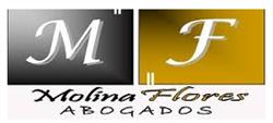 Molina Flores Abogados en Puebla (Chulavista) - Horario de apertura