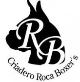 Clinica Veterinaria Roca en Ciudad de México (Campestre Churubusco) - Horario de apertura