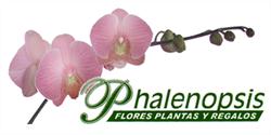 Phalenopsis en Querétaro (Queretaro) - Horario de apertura