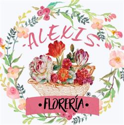 Floreria Alexis en San Luis Potosí (Ricardo B Anaya) - Horario de apertura