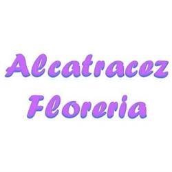 Alcatraces Floreria en Saucillo (Centro) - Horario de apertura