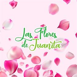 Las Flores De Juanita en Durango (Hipodromo) - Horario de apertura