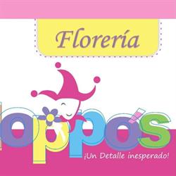 Floppos - Floreria en Chihuahua (Altavista) - Horario de apertura