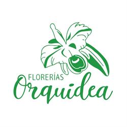 Florerías Orquidea en Durango (Durango) - Horario de apertura