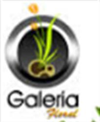Horario de apertura Galeria Floral, Querétaro