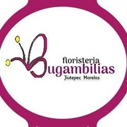 Floreria Bugambilias en Cuernavaca (Col Moctezuma) - Horario de apertura