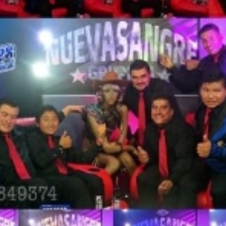Horario de apertura Grupo Soñadores Musical, Santa Gertrudis