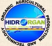 HIDRORGAN en Tizimín (Centro) - Horario de apertura