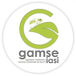 Gamse Ingenieria Ambiental y Servicios Industriales S.A de C.V. en Ciudad Juárez (Col. Satelite) - Horario de apertura