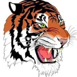El Tigre Reparaciones en Guadalajara (18 De Marzo) - Horario de apertura