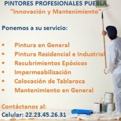 Horario de apertura Pintores Profesionales Puebla, 