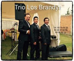 Trio Los Brandys en Tlalnepantla de Baz (Barrio De Guadalupe) - Horario de apertura