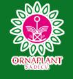 Ornaplant, S.a De C.v en 19 de Febrero (Narciso Mendoza) - Horario de apertura