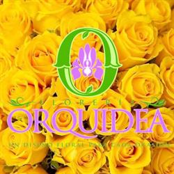 Florería Orquidea en Ciudad Obregón (Sonora) - Horario de apertura