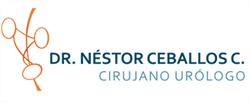 Ceballos C Nestor e. Dr. en Tampico (Hospital Regional) - Horario de apertura