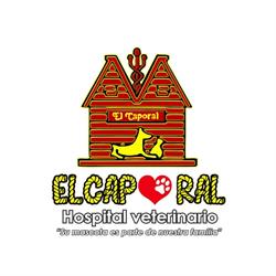 Clínica Veterinaria El Caporal en Mérida (Bojorquez) - Horario de apertura