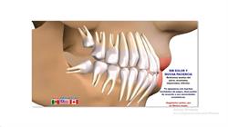 Dental Norteamericana en Salina Cruz (Oaxaca) - Horario de apertura
