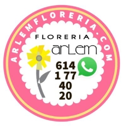 Floreria Arlem en Chihuahua (Cazadores) - Horario de apertura