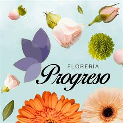 Florería Progreso en San Luis Potosí (Progreso) - Horario de apertura
