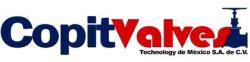 COPIT VALVES TECHNOLOGY DE MEXICO S.A. DE C.V. en Veracruz (Lomas De Río Medio) - Horario de apertura