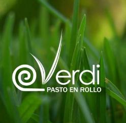 Horario de apertura Verdi Pasto en Rollo, Culiacán