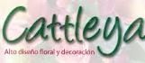 Horario de apertura Florería Cattleya, Bucerías