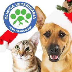Clinica Veterinaria San Francisco en Pátzcuaro (Pátzcuaro Centro) - Horario de apertura