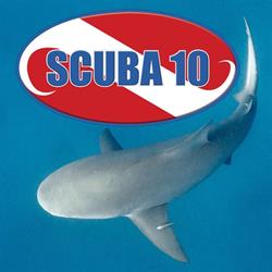 Scuba 10 en Playa del Carmen (Solidaridad) - Horario de apertura