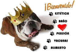 Unidad Veterinaria Metropolitana en Acapulco de Juárez (Progreso Florida) - Horario de apertura