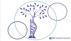 Horario de apertura Traumatología y Ortopedia Jardines del Bosque, Guadalajara
