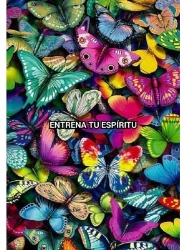 Entrena tu espiritu en Naucalpan de Juárez (Santa Cruz Del Monte) - Horario de apertura