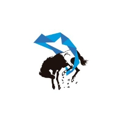 Equus Labs - Diseño Web en Ciudad de México (Col. Las Palmas) - Horario de apertura