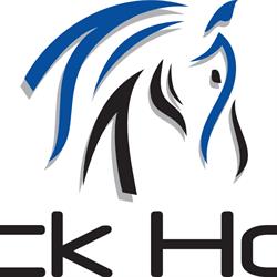 Black Horse Mx en Ciudad de México (San Clemente) - Horario de apertura