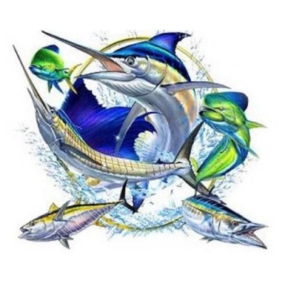 Cabo Fishing Pros en Cabo San Lucas (Centro) - Horario de apertura