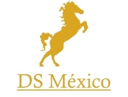 Comercializadora DS México en Ciudad de México (Faja De Oro) - Horario de apertura