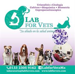Horario de apertura LAB FOR VETS, Zapopan