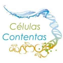 Células Contentas en Ciudad de México (Col. Roma Norte) - Horario de apertura