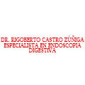 Dr Rigoberto Castro Zúñiga Especialista En Endoscopia Digestiva en Durango (Valle Del Guadiana) - Horario de apertura