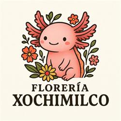 Florería Xochimilco en Puerto Vallarta (Bobadilla) - Horario de apertura