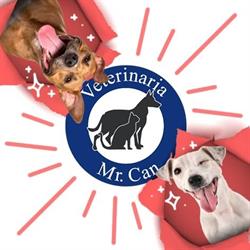 Veterinaria Mr. Can en Valle Dorado (Real Nuevo Vallarta) - Horario de apertura