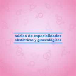Horario de apertura Nucleo de Especialidades Obstetricas y Ginecologicas, Texcoco de Mora