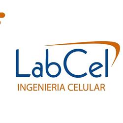 Labcel en Pachuca de Soto (Centro) - Horario de apertura