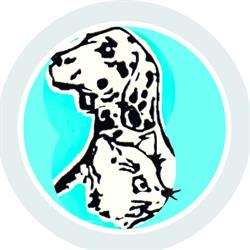 Horario de apertura Animal Family, Xalapa Enríquez