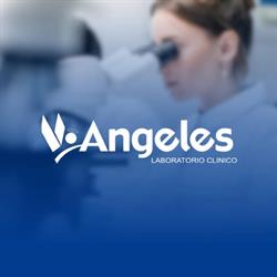 Horario de apertura Angeles Laboratorio Clínico, Poza Rica