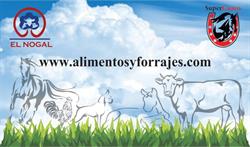 Horario de apertura ALIMENTOS FORRAJES Y SEMILLAS DE MORELOS, Cuernavaca