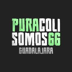 Arena Coliseo en Guadalajara (Guadalajara Centro) - Horario de apertura