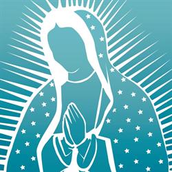 Horario de apertura Parroquia y Santuario de Nuestra Señora de Guadalupe, 