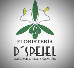 Horario de apertura Floristería D'Spejel, Pachuca de Soto